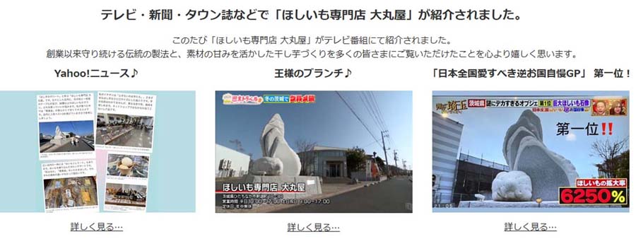 メディア紹介