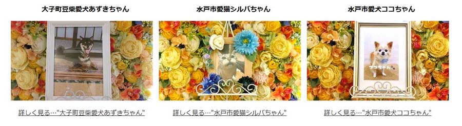 ペット葬祭・火葬・納骨事例　家族の一員だったペットたちの写真