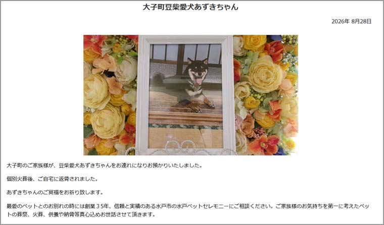 ペット葬祭・火葬 公開記事ページ